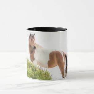 Protecteur de la tasse de dunes