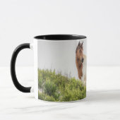 Protecteur de la tasse de dunes (Gauche)