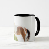 Protecteur de la tasse de dunes (Devant droit)