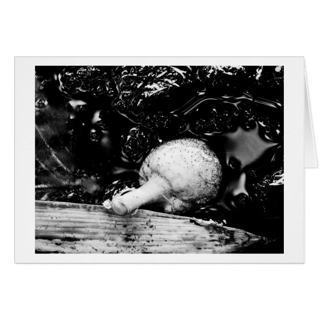 protecteur sombre (Devant horizontal)