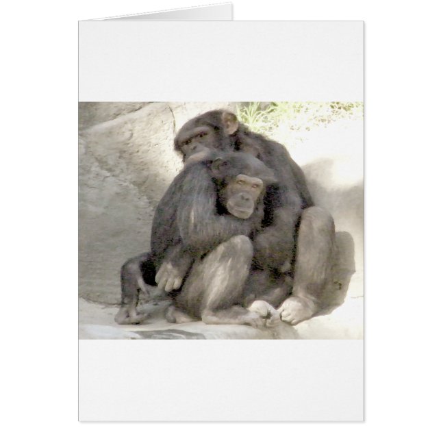 Protection de l'amour_ (Devant)