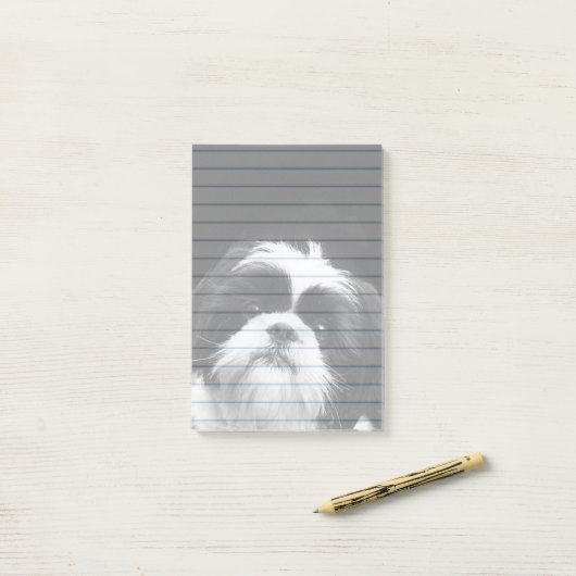 Protection des notes de post-it de chien de Shih (Sur un bureau)