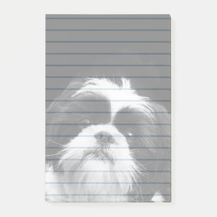 Protection des notes de post-it de chien de Shih