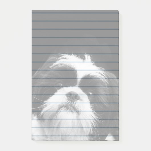 Protection des notes de post-it de chien de Shih (Devant)
