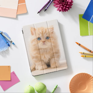 Protection iPad Air Animaux de bébés cutest   A British Longhair Kitte