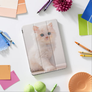 Protection iPad Air Animaux de bébés cutest   Blue Eye Kitten
