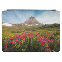 Fleurs | Parc national des Glaciers du Montana