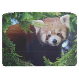 Protection iPad Air Panda rouge