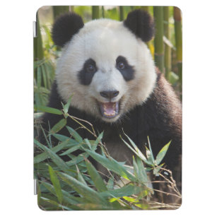 Protection iPad Air Portrait de sourire de panda