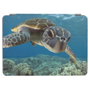 Protection iPad Air Tortue de mer verte hawaïenne