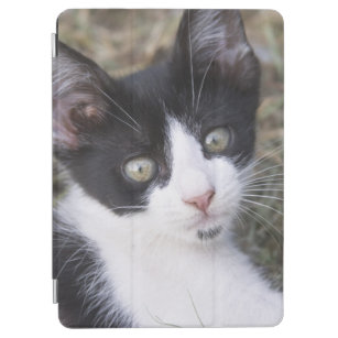 Protection iPad Air Un chaton noir et blanc de chat dans le jardin