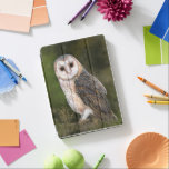 Protection iPad Air Western Barn Owl<br><div class="desc">Chouette de l'Ouest - Migned Aquarelle Peinture Art Belle Forêt Oiseau</div>