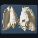 Protection iPad Coquillages Sepia Conch<br><div class="desc">Vous pouvez entendre l'océan de ces coquillages Conch haut et clair! Si vous êtes stressé,  imaginez-vous sur la plage de sable chaud. Ces coquillages Conch sont une grande oeuvre d'art avec un arrière - plan de la marine pour faire ressortir l'image d'être plus pointilleux.</div>