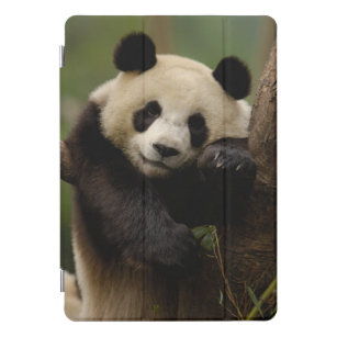 Protection iPad Pro Cover Famille de melanoleuca d'Ailuropoda de panda