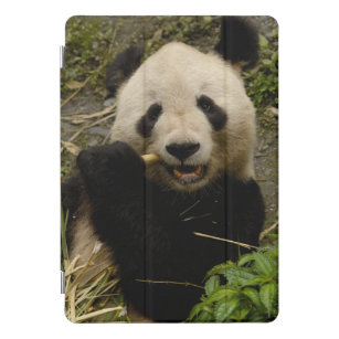 Protection iPad Pro Cover Famille de melanoleuca d'Ailuropoda de panda