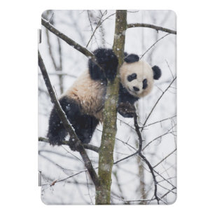 Protection iPad Pro Cover Panda de bébé dans l'arbre