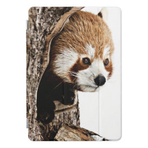 Protection iPad Pro Cover Panda Peek-a-Boo