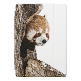 Protection iPad Pro Cover Panda Peek-a-Boo