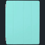 Protection iPad Petite chic aqua turquoise Robins Bleu oeuf<br><div class="desc">Aqua bleu bleu bleu rouge,  accessoires de chambre bleu turquoise. Un mariage romantique bleu aqua favorise.</div>