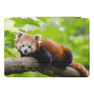 Protection iPad Pro Cover Panda rouge