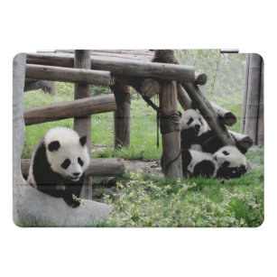 Protection iPad Pro Cover Trois pandas pour bébés