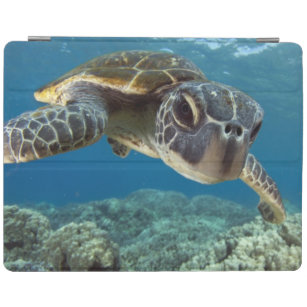 Protection iPad Tortue de mer verte hawaïenne