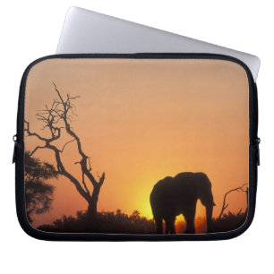Protection Pour Ordinateur Portable Afrique, Botswana, Parc national de Chobe, Cadre