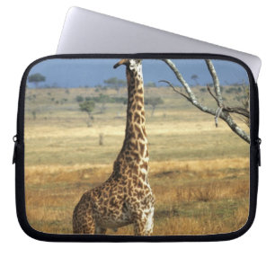 Protection Pour Ordinateur Portable Afrique, Kenya, Amboseli NP. Un girafes commun, ou