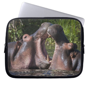 Protection Pour Ordinateur Portable Afrique. Tanzanie. Hippopotame combat