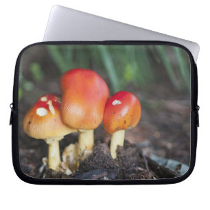 Protection Pour Ordinateur Portable Amanita family mushrom
