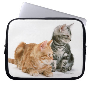 Protection Pour Ordinateur Portable Américain Shorthair