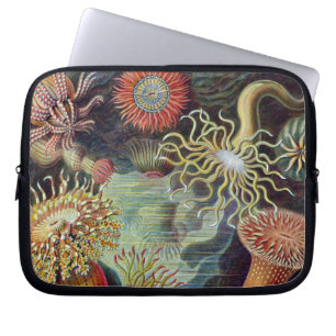 Protection Pour Ordinateur Portable Anémone de mer Nature scientifique Océan