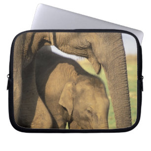 Protection Pour Ordinateur Portable Asie, Inde, Parc national de Nargahole. Indien