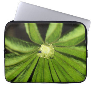 Protection Pour Ordinateur Portable Baby Palm Plante par Shirley Taylor