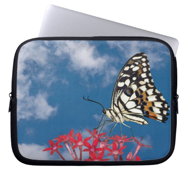 Protection Pour Ordinateur Portable Beau Papillon (Devant)