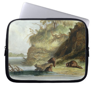 Protection Pour Ordinateur Portable Beaver la hutte sur le Missouri, plaquez 17 du