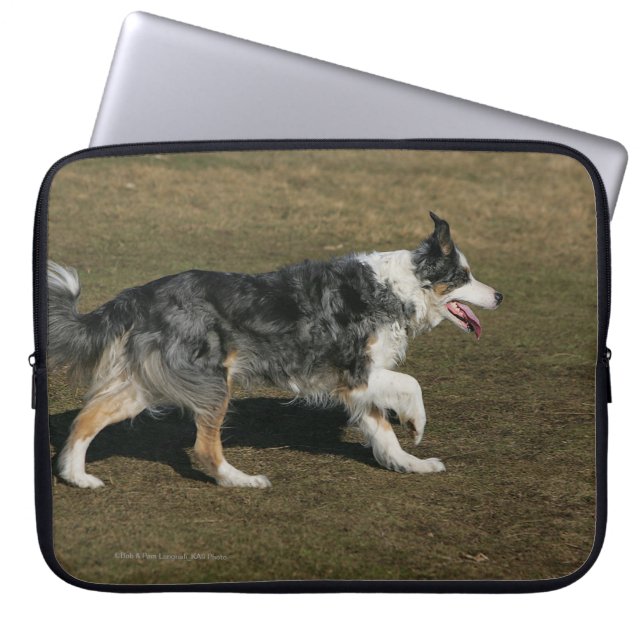 Protection Pour Ordinateur Portable Border collie courant 1 (Devant)