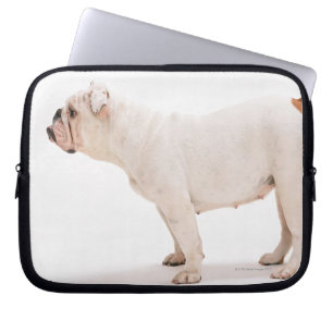 Protection Pour Ordinateur Portable Bouledogue