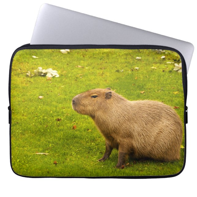 Protection Pour Ordinateur Portable Capybara (Devant)