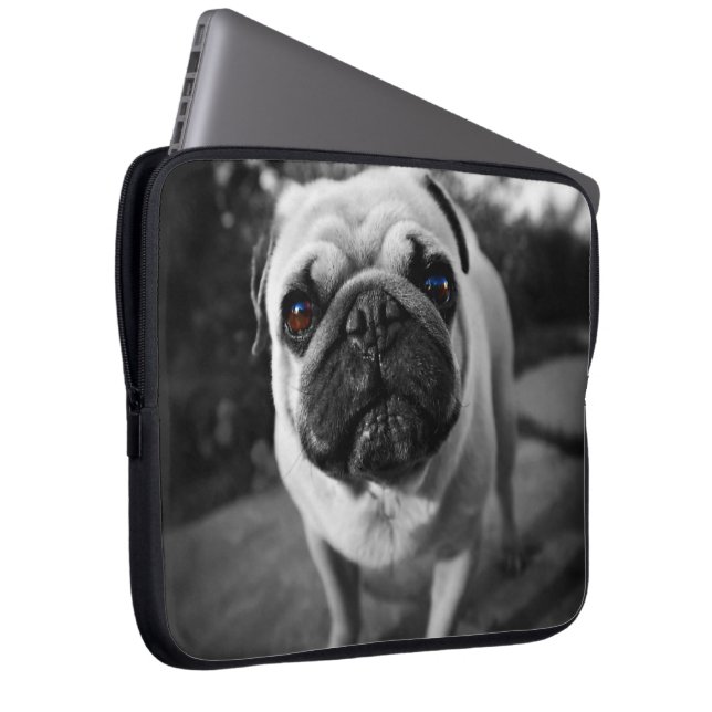 Protection Pour Ordinateur Portable Carlin beau (Devant droit)