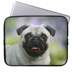 Protection Pour Ordinateur Portable Carlin de faon sur l'alerte