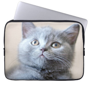 Protection Pour Ordinateur Portable Chat britannique gris de Shorthair