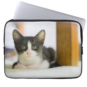 Protection Pour Ordinateur Portable Chaton blanc et noir doux