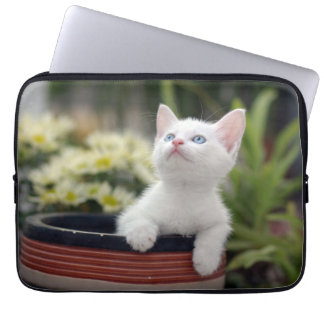 Protection Pour Ordinateur Portable Chaton blanc turc