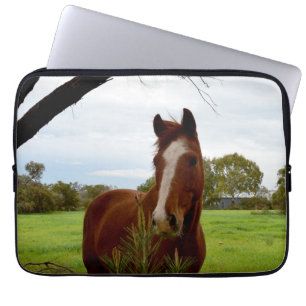 Protection Pour Ordinateur Portable Chestnut Horse Sniffing A Banksia Tree