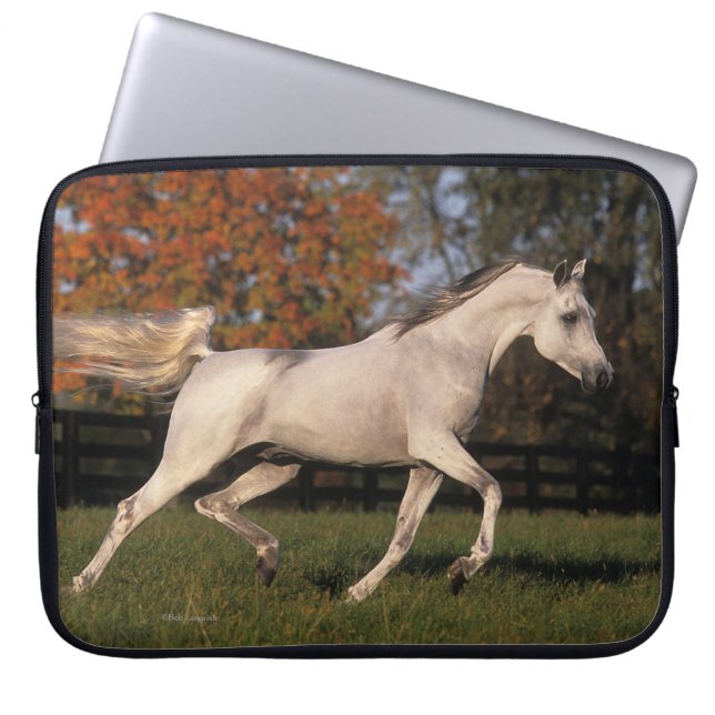 Protection Pour Ordinateur Portable Cheval arabe : Automne 2 (Devant)