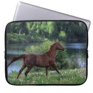 Protection Pour Ordinateur Portable Cheval de pur sang se tenant en fleurs