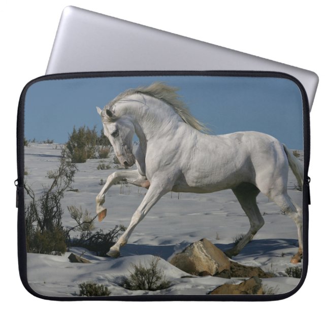 Protection Pour Ordinateur Portable Chevaux d'imaginaire : Roi de neige (Devant)