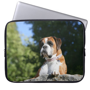Protection Pour Ordinateur Portable Chien de boxeur s'étendant sur une roche