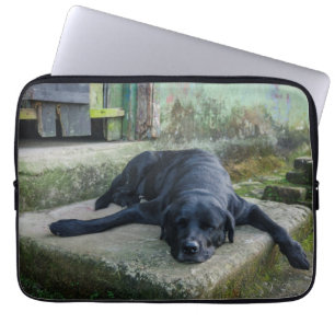 Protection Pour Ordinateur Portable Chien somnolent
